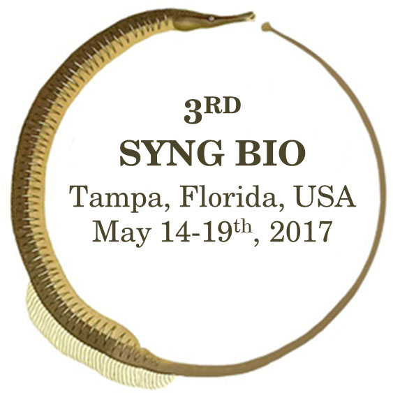 3rd syngbio logo